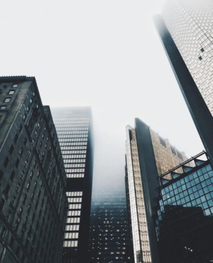 PipInfuse-Forex-Trading-and-Investment-Consultancy-3552124